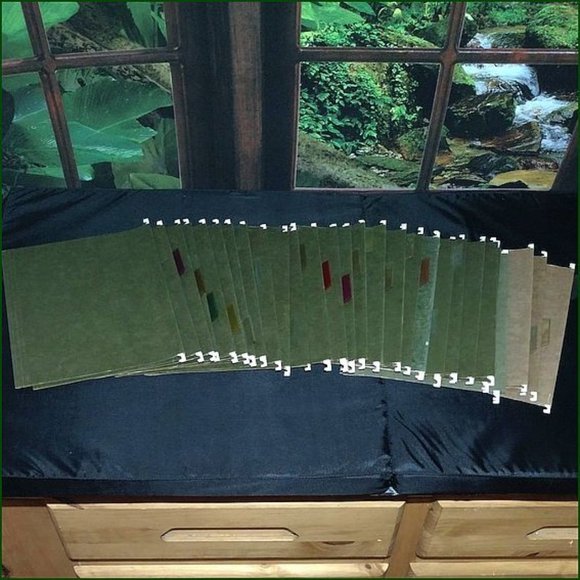 28 HANGING FILE FOLDERS - Picture 1 of 1
